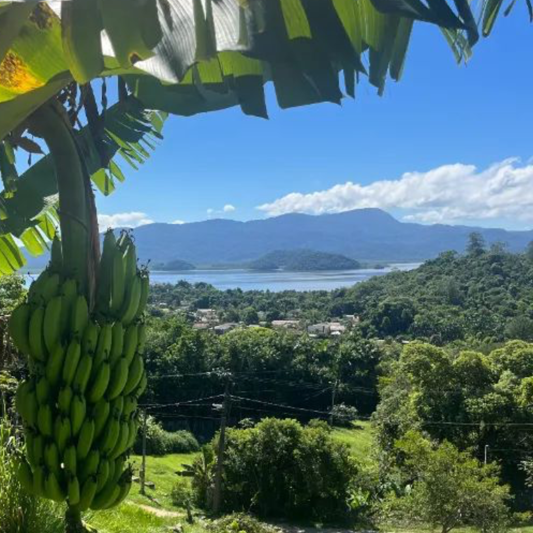 Vista panorâmica da lagoa e das montanhas em Antonina